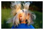 Hair Explosion Hair Explosion