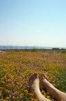 Relax Relax