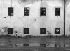 Windows Windows