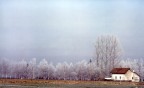 inverno inverno
