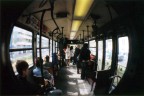 Bus... Bus...