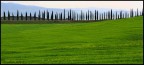profilo toscano profilo toscano