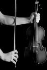 Il violinista Il violinista
