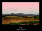 colline toscane colline toscane
