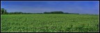 Campagna