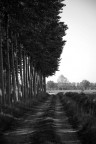 strada strada