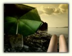 Relax serale Relax serale