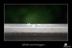 Sabato pomeriggio Sabato pomeriggio