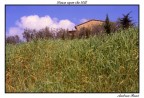 House upon the Hill House upon the Hill