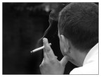 ::: SMOKE ::: ::: SMOKE :::