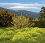 Gli impressionisti......Colori...dipinti Gli impressionisti......Colori...dipinti