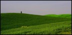 colline colline