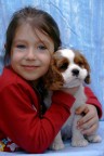MY BABY IS LOVE DOG MY BABY IS LOVE DOG