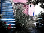 * o' secret garden * * o' secret garden *