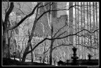 Park @ New York Park @ New York