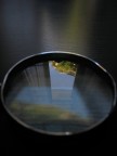 riflessi 2 riflessi 2