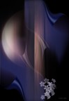 Romantic Moon... Romantic Moon...
