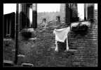 ...stesa al sole ...stesa al sole