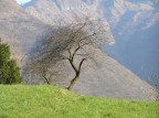 la Quiete