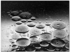 Modern Society #3 - waterproof conscience Modern Society #3 - waterproof conscience