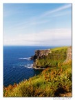 The Cliffs of Insanity (Moher)