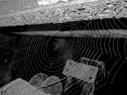 imprigionate dal tempo imprigionate dal tempo