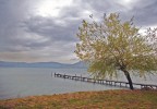 lago lago
