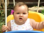 Flaminia Flaminia