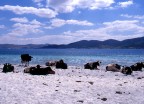 Tutte al mare Tutte al mare