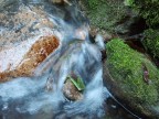 Acqua Acqua