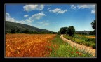 Dolce terra di Ciociarìa Dolce terra di Ciociarìa