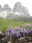Al cospetto di sua maesta Al cospetto di sua maesta