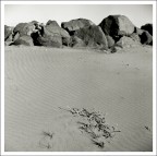 Spiaggia Spiaggia