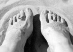 piedi