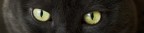 Only for your eyes Only for your eyes