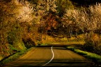 Strada Strada