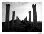 colonnato colonnato