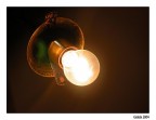 lampadina lampadina