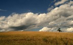 Dopo il temporale Dopo il temporale