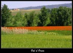 rosso val d'orcia rosso val d'orcia