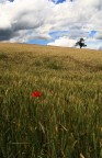 Dopo il temporale 2 Dopo il temporale 2