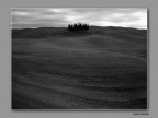 Magica Toscana Magica Toscana