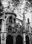Notre Dame, sperimento Notre Dame, sperimento