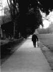 il rientro il rientro