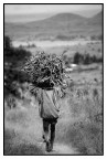 il lavoro dei piccoli il lavoro dei piccoli