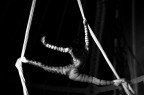 circus, fermo immagine circus, fermo immagine