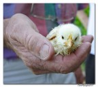 Il Gigante  e.... il Piccolino