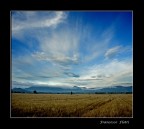 Panorama Panorama