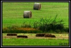 Il Campo Il Campo