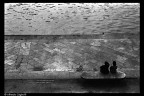 StreetMalko III StreetMalko III